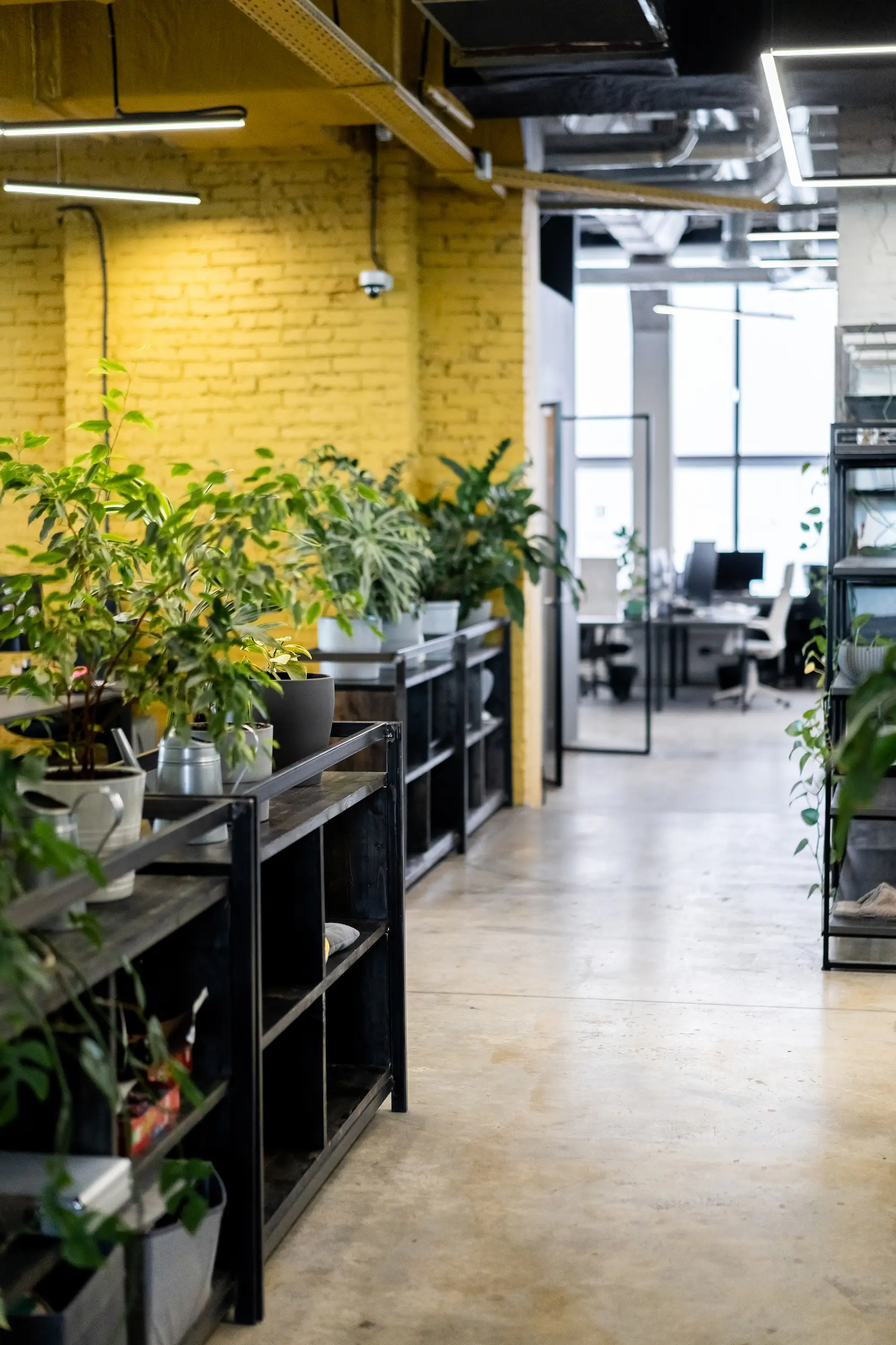 Лучшие идеи рождаются в живом общении